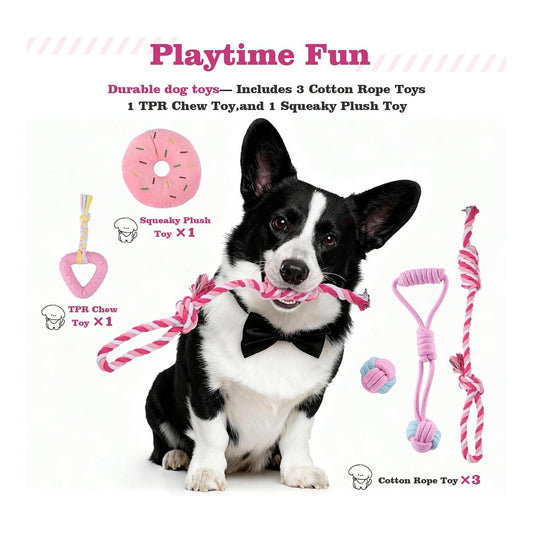 Puppy Starter Kit - Pink image 1